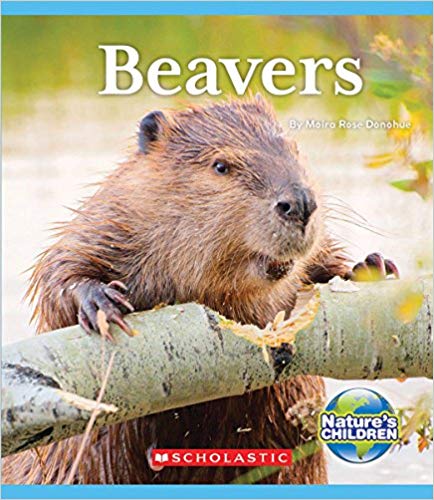 Beavers