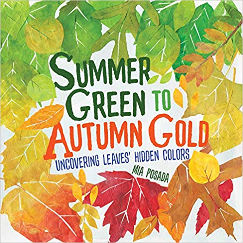 Summer Green to Autumn Gold