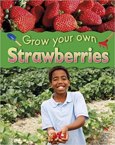 Grow Your Own Strawberries