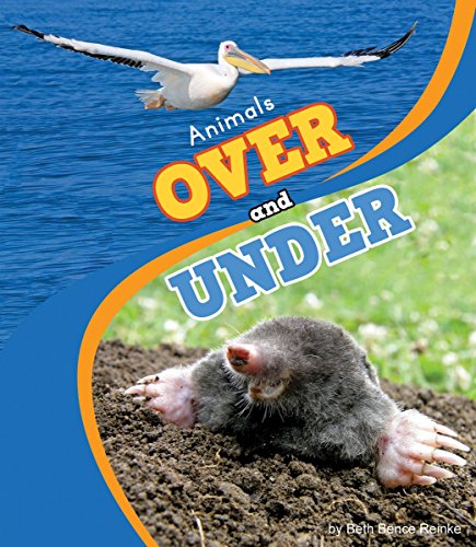 Animals Over and Under