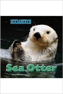 Sea Otter