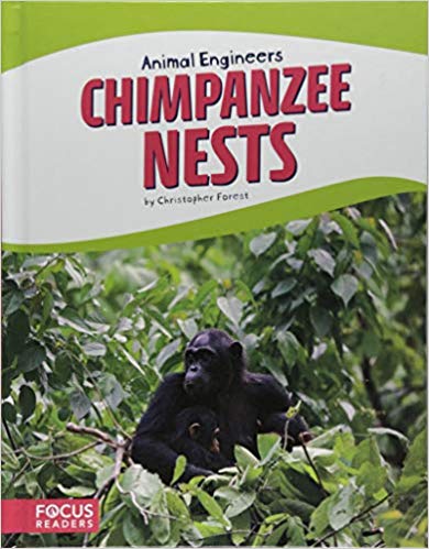 Chimpanzee Nests