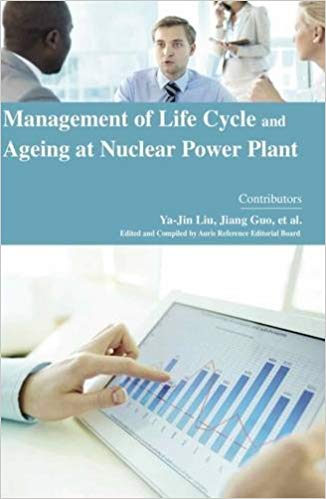 Management of Life Cycle and Ageing at Nuclear Power Plant