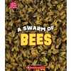 A Swarm of Bees (Learn About: Animals) (Hardcover)