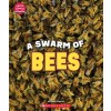 A Swarm of Bees (Learn About: Animals) (Paperback)