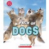 A Pack of Dogs (Learn About: Animals) (Hardcover)