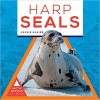 Harp Seals