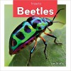 Beetles