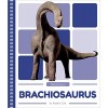 Brachiosaurus