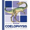 Coelophysis