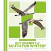 Why Do Birds Fly South for Winter?