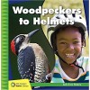 Woodpeckers to Helmets