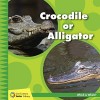 Crocodile or Alligator