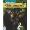 Animal Families Chimpanzees