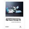 Brig's Handbook of Methods & Research in High Impact Strategic HR