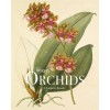 RHS Orchids (Hardcover)