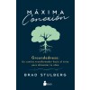 M?ima Conexi? (Paperback)